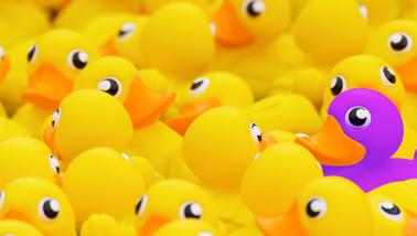 Was Key Opinion Leader tun