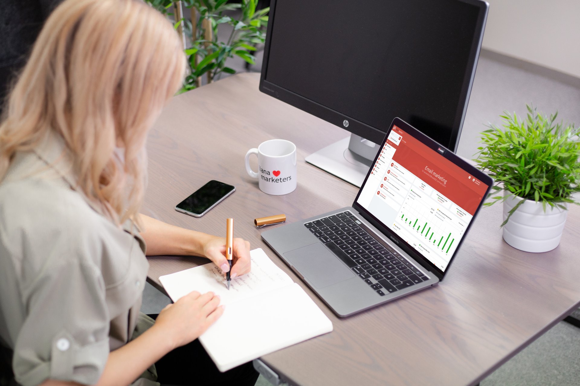 Benutzeroberfläche des E-Mail-Marketingsoftware LianaMailer